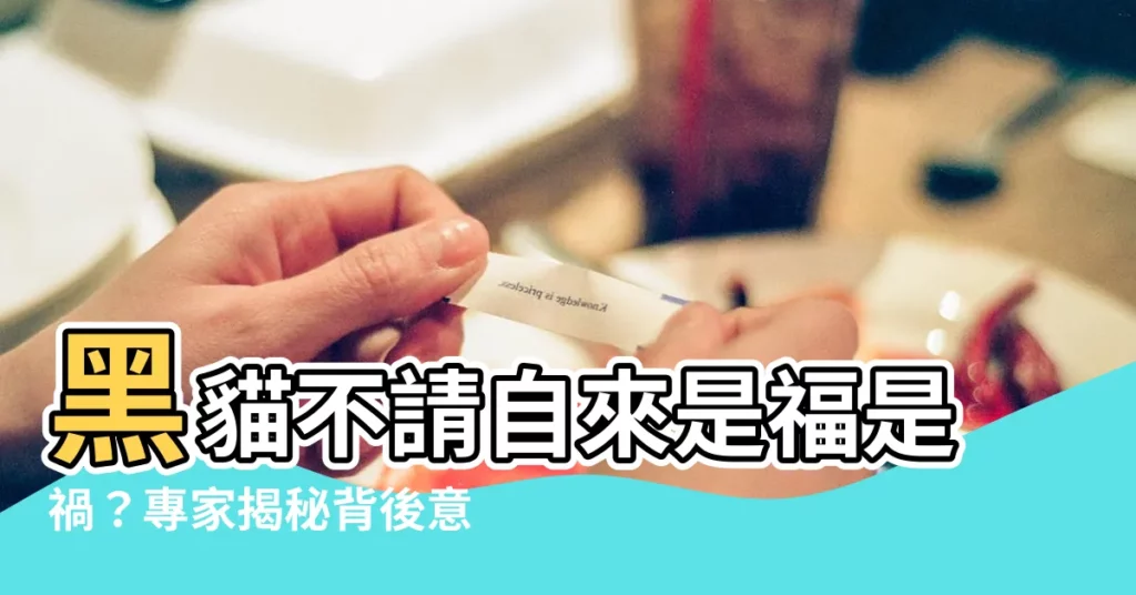 【黑貓不請自來】黑貓不請自來是福是禍？專家揭秘背後意義