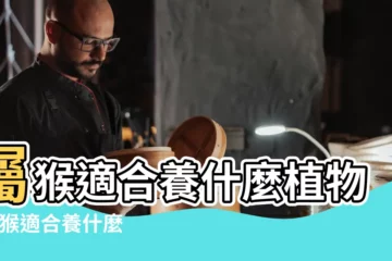 【屬猴的適合養花草麼】屬猴適合養什麼植物 |屬猴適合養什麼花 |屬猴的家裏養什麼花好屬猴養什麼花可以招財 |