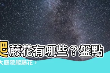 【爬藤花有哪些】爬藤花有哪些？盤點10大庭院爬藤花，開花美呆讓你驚艷！