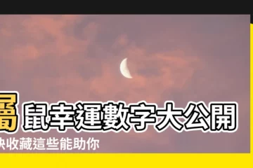 【屬鼠幸運數字】屬鼠幸運數字大公開！快收藏這些能助你運勢攀升的幸運號碼