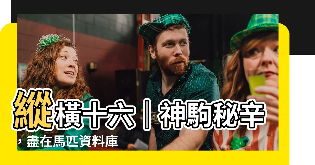 【縱橫十六】縱橫十六｜神駒秘辛，盡在馬匹資料庫