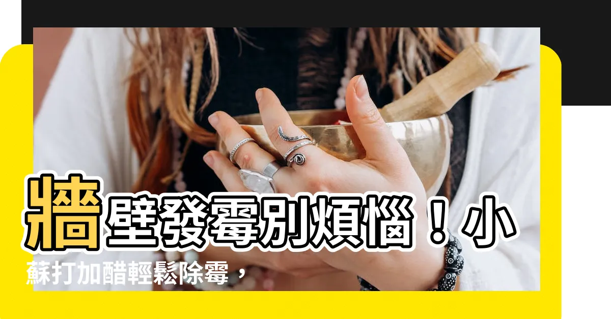 【牆壁發黴小蘇打】牆壁發黴別煩惱！小蘇打加醋輕鬆除黴，整年乾爽不發黴