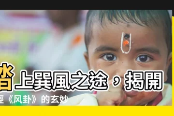 【風卦】踏上巽風之途，揭開易經《風卦》的玄妙