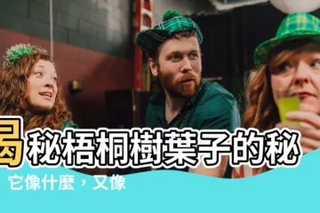 【梧桐樹葉子】揭秘梧桐樹葉子的秘密：它像什麼，又像什麼？