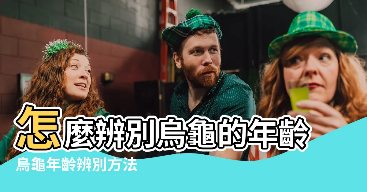 【烏龜年紀怎麼算】怎麼辨別烏龜的年齡烏龜年齡辨別方法 |不再是難事 |如何判斷烏龜的年齡 |