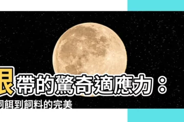 【銀帶怎麼養】銀帶的驚奇適應力：從飼餌到飼料的完美轉變