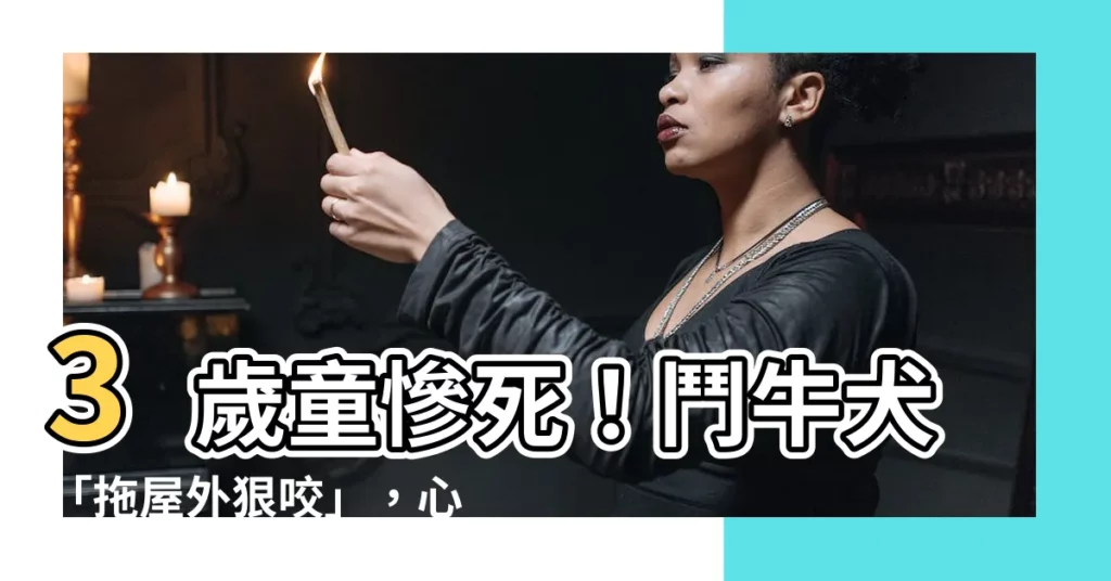 【心繫屋外】3歲童慘死!鬥牛犬「拖屋外狠咬」,心繫屋外卻無力迴天