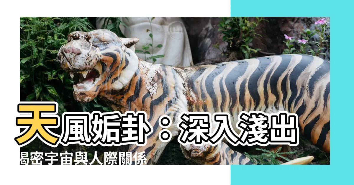 【天風姤】天風姤卦：深入淺出揭密宇宙與人際關係的奧秘！