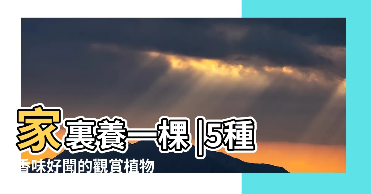 【葉子有香味的樹】家裏養一棵 |5種香味好聞的觀賞植物 |4種整株都有香味的樹 |