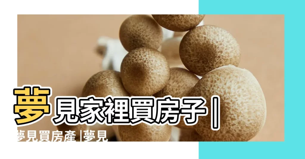 夢見家裡買房子 |夢見買房產 |夢見家人買房子 |【周公解夢夢見家裏買房子】