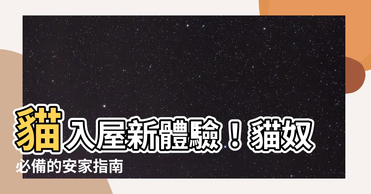 【貓入屋】貓入屋新體驗！貓奴必備的安家指南