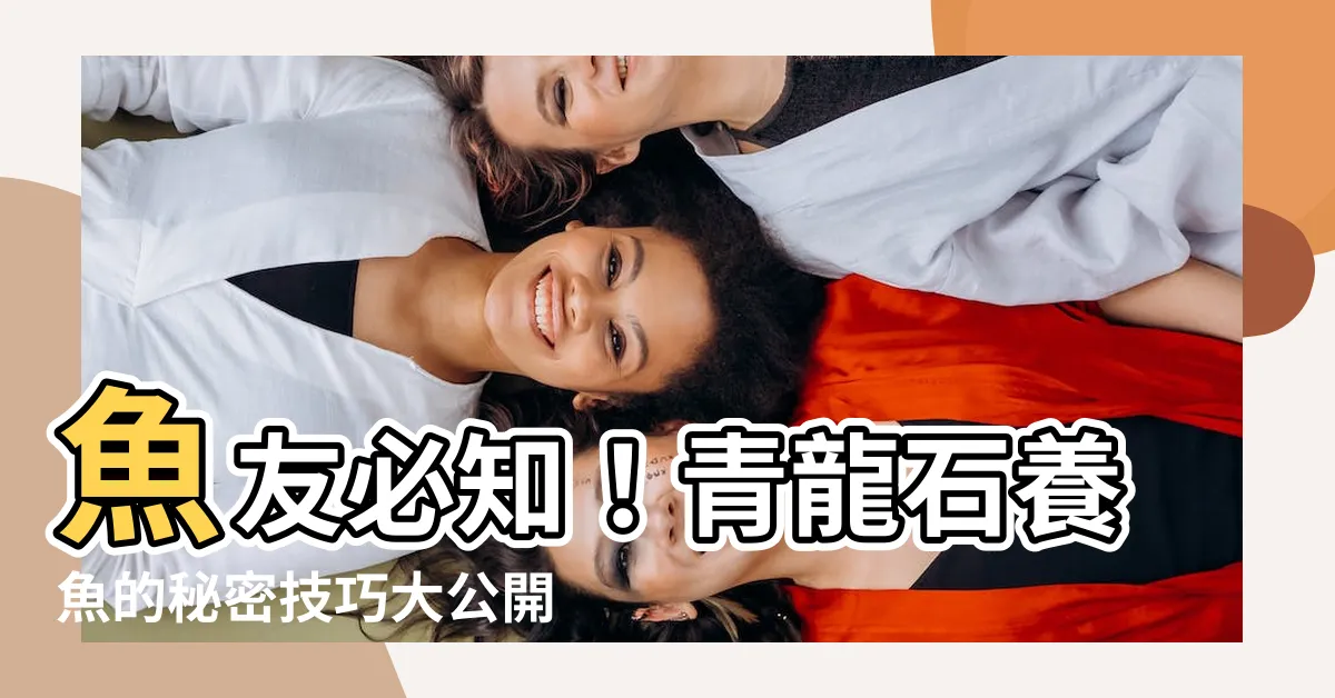 【青龍石養魚】魚友必知！青龍石養魚的秘密技巧大公開
