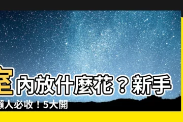 【室內放什麼花】室內放什麼花？新手、懶人必收！5大開花植物推薦，好養又美觀