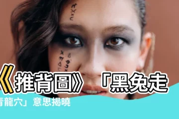 【黑兔走入青龍意思】《推背圖》「黑兔走入青龍穴」意思揭曉！2023年關鍵轉折