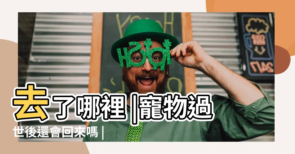【貓死後會去哪裡】去了哪裡 |寵物過世後還會回來嗎 |動物死後 |
