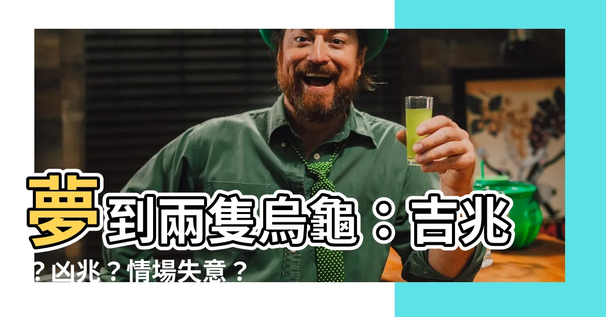 【夢到兩隻烏龜】夢到兩隻烏龜：吉兆？凶兆？情場失意？愛情有轉機？