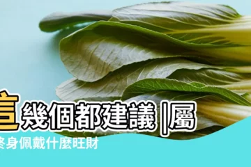 【屬龍帶什麼手串好】這幾個都建議 |屬龍終身佩戴什麼旺財 |屬龍的戴什麼手串招財 |