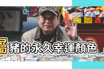 【2019屬豬的人適合什麼顏色】屬豬的永久幸運顏色 |生肖豬2019年幸運色和數字是什麼 |生肖屬豬2019年幸運顏色是什麼顏色 |