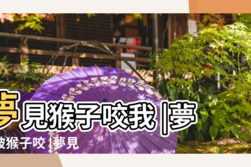 【夢見吃猴子被猴子咬】夢見猴子咬我 |夢見被猴子咬 |夢見被猴子咬是什麼意思預兆 |