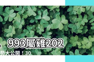 【1993屬雞2023運勢】1993屬雞2023運勢大公開！30歲屬雞人全年好運指南