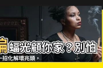 【蝙蝠跑進家】蝙蝠光顧你家？別怕！一招化解壞兆頭，還能帶來好運！