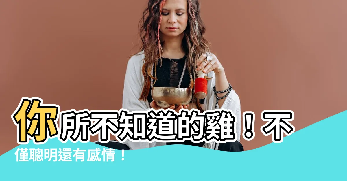 【雞有感情嗎】你所不知道的雞！不僅聰明還有感情！