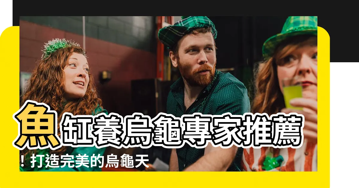 【魚缸養烏龜】魚缸養烏龜專家推薦！打造完美的烏龜天堂！