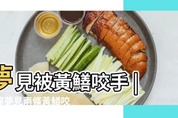 【懷孕夢見黃鱔咬手指】夢見被黃鱔咬手 |孕婦夢見兩條黃鱔咬自己的腳 |孕婦夢見黃鱔鑽肉裡了 |