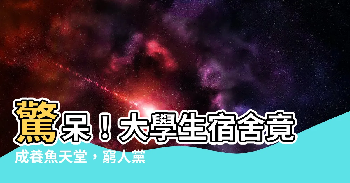 【宿舍養魚】驚呆！大學生宿舍竟成養魚天堂，窮人黨也能樂享養魚樂趣！