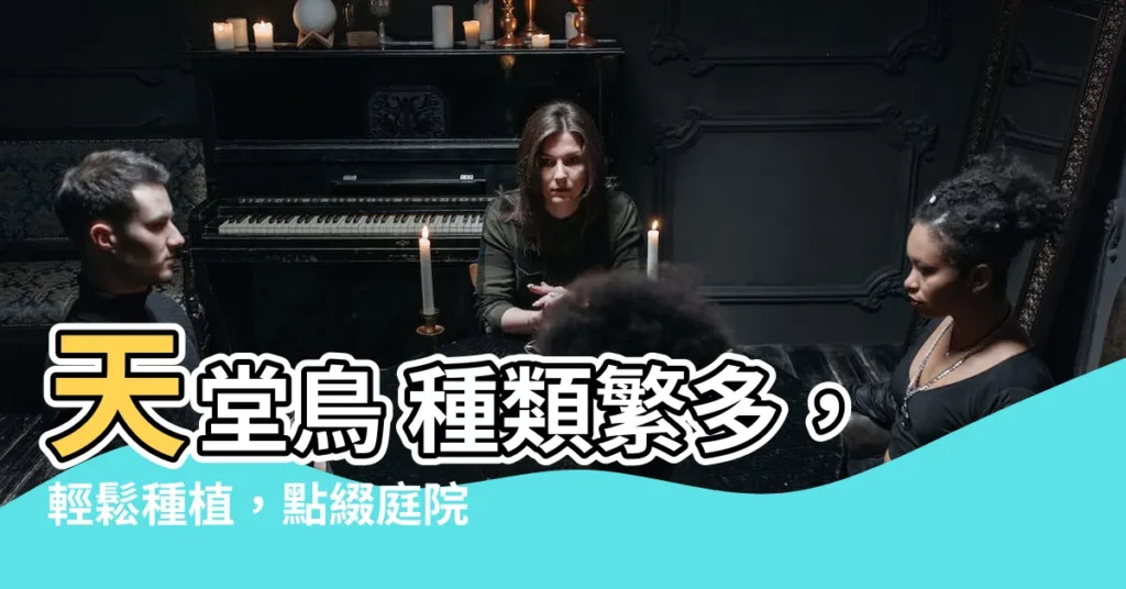 【天堂鳥種類】天堂鳥 種類繁多，輕鬆種植，點綴庭院！