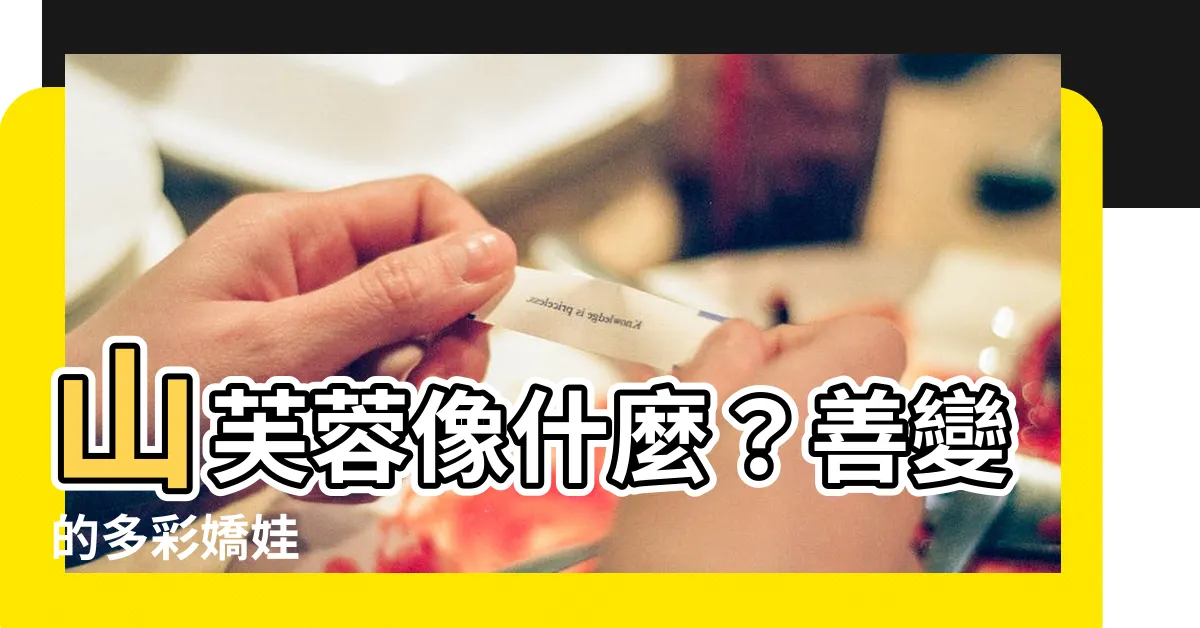 【山芙蓉像什麼】山芙蓉像什麼？善變的多彩嬌娃