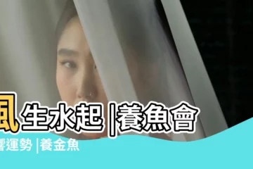【金魚與風水】風生水起 |養魚會影響運勢 |養金魚風水知識顏色 |