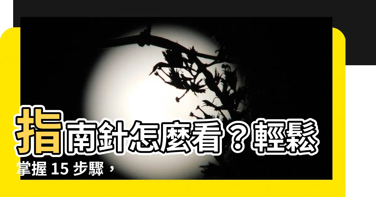 【指南針怎麼看？】指南針怎麼看？輕鬆掌握 15 步驟，探索未來的方向