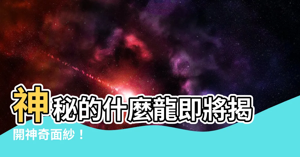 【什麼龍】神秘的什麼龍即將揭開神奇面紗！