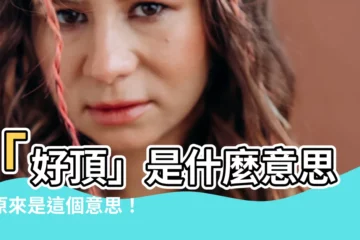 【好頂 意思】「好頂」是什麼意思？原來是這個意思！