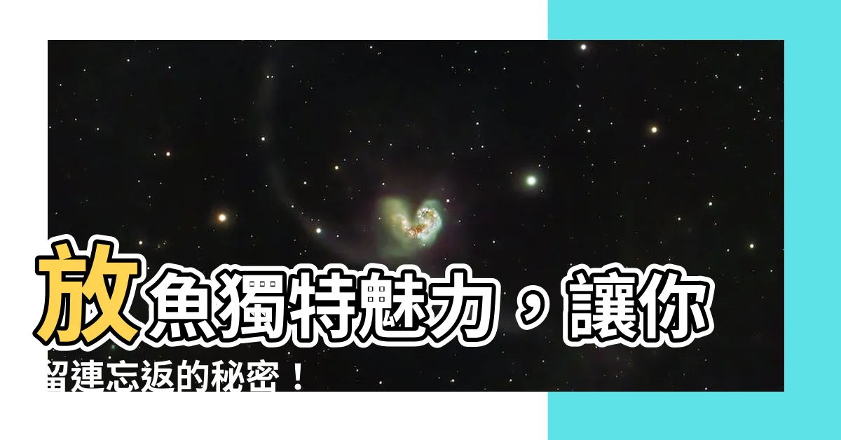 【放魚】放魚獨特魅力，讓你留連忘返的秘密！