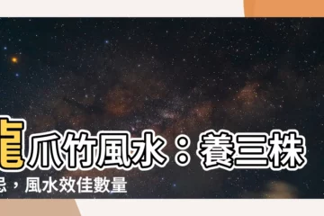【龍爪竹風水】龍爪竹風水：養三株禁忌，風水效佳數量與作用不可不知