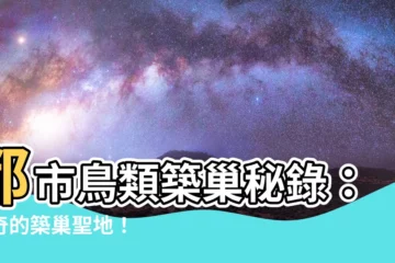 【鳥巢築巢】都市鳥類築巢秘錄：驚奇的築巢聖地！
