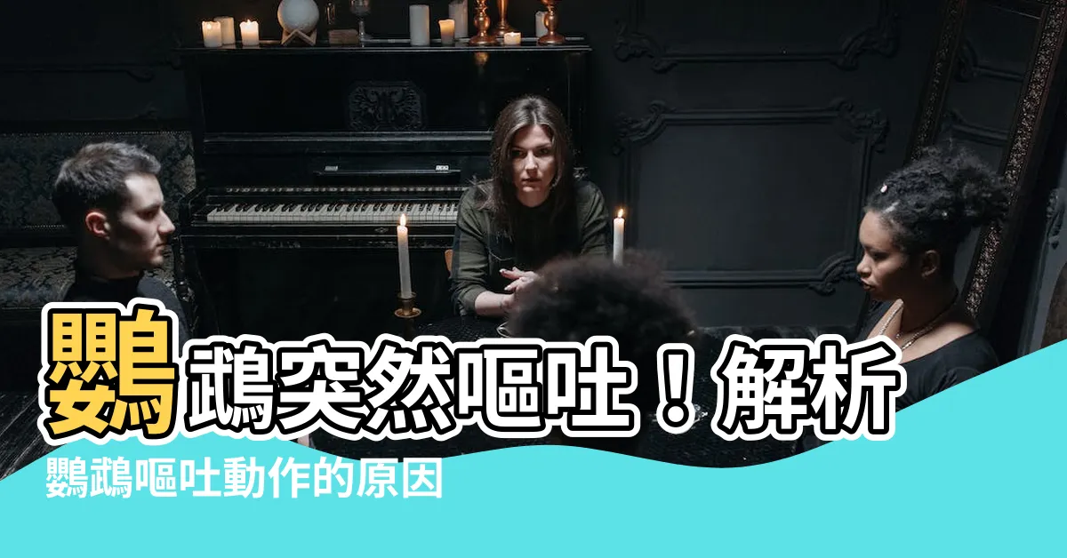 【鸚鵡嘔吐動作】鸚鵡突然嘔吐！解析鸚鵡嘔吐動作的原因與對應方法