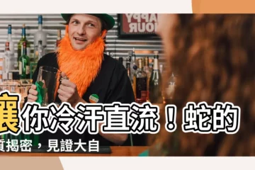 【蛇 特性】讓你冷汗直流！蛇的特質揭密，見證大自然的致命誘惑