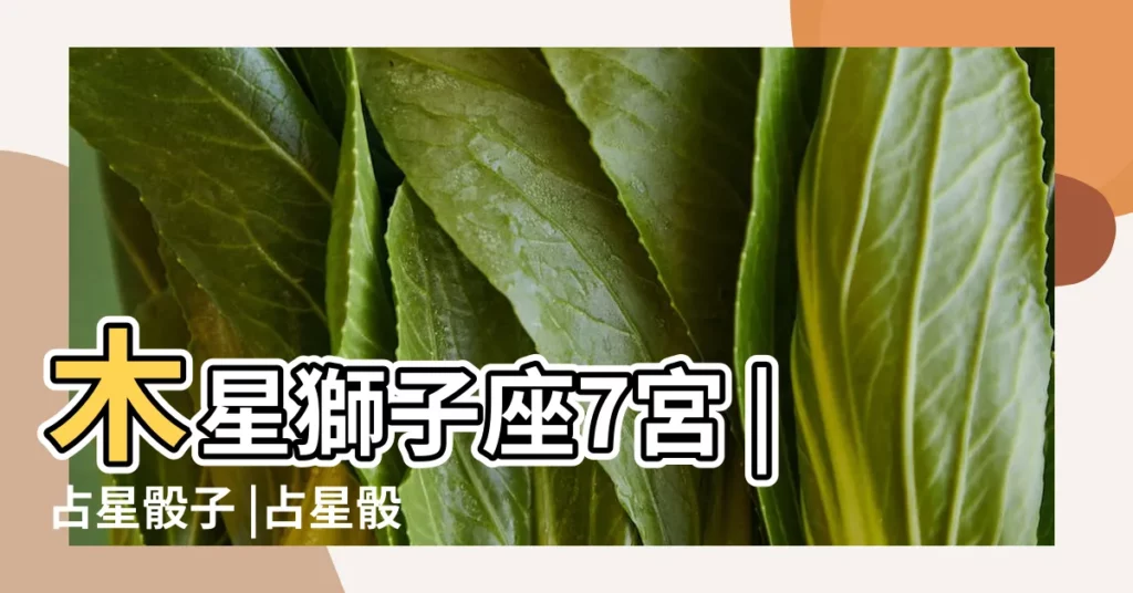木星獅子座7宮 |占星骰子 |占星骰子教學 |【木星獅子7宮 骰子】