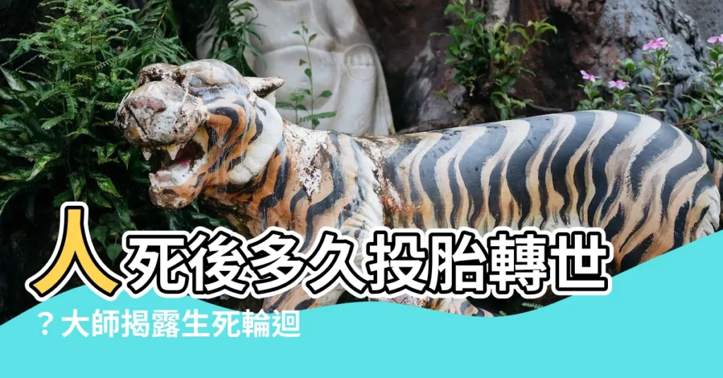 【人死後多久投胎】人死後多久投胎轉世？大師揭露生死輪迴的秘密