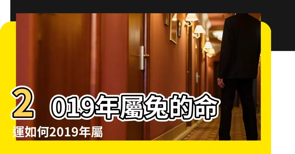 2019年屬兔的命運如何2019年屬兔事業方向 |屬兔人2019年度運勢 |屬兔人2019年運勢 |【屬兔2019年事業】