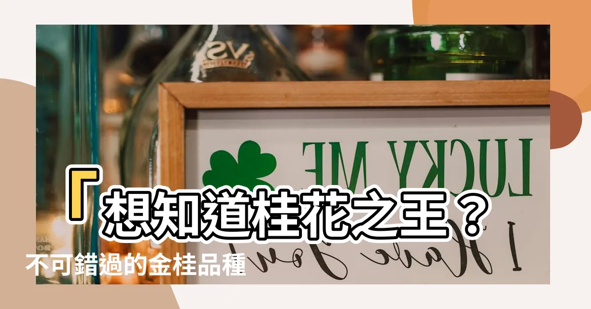 【金桂】「想知道桂花之王？不可錯過的金桂品種」