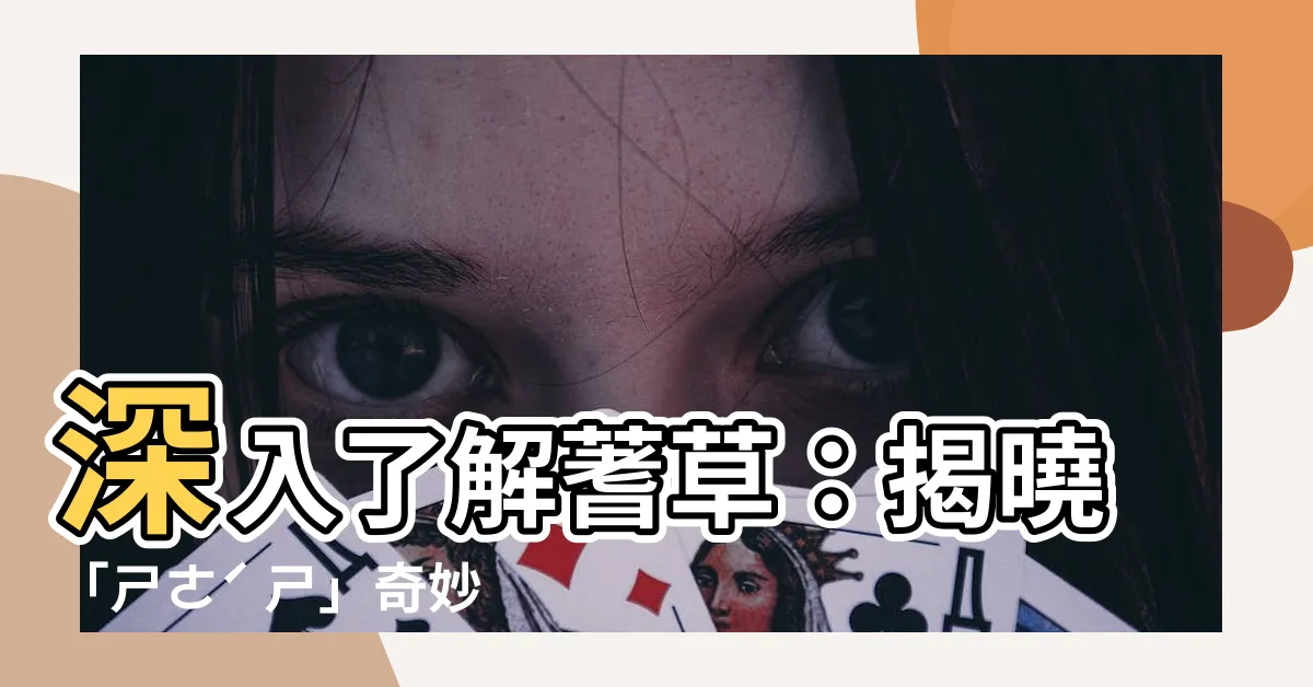 【蓍草注音】深入瞭解蓍草：揭曉「ㄕㄜˊ ㄕ」奇妙注音