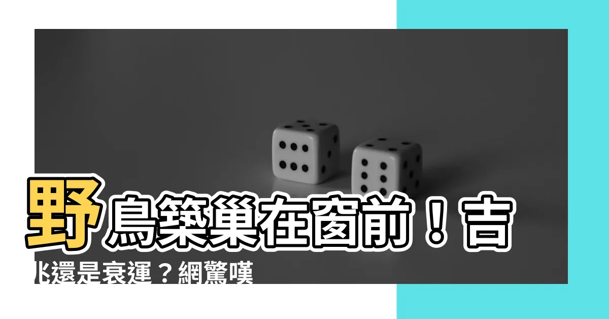 【有鳥來家裡築巢】野鳥築巢在窗前！吉兆還是衰運？網驚嘆：房客滿滿要發了