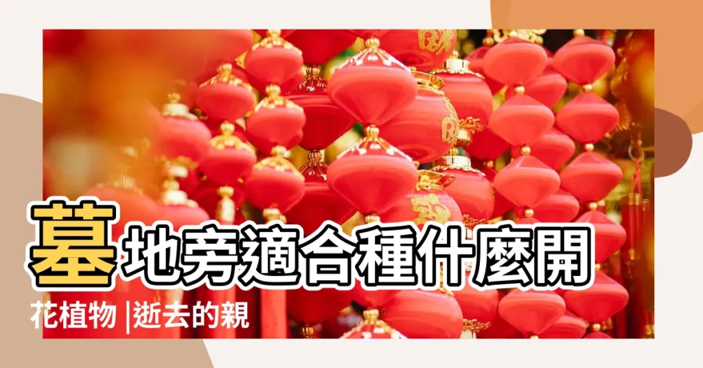 墓地旁適合種什麼開花植物 |逝去的親人墓前適合種植什麼花或植物 |公墓陵園種植什麼花比較好 |【墓地上長的花有那幾種】