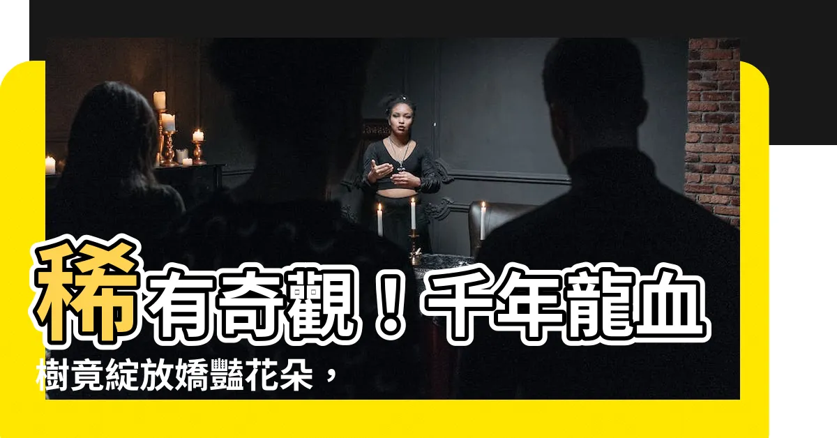 【龍血樹開花】稀有奇觀！千年龍血樹竟綻放嬌豔花朵，揭秘龍血樹開花之謎