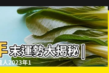 【龍人農曆11月運勢如何】年末運勢大揭秘 |屬龍人2023年11月運勢及運程詳解 |屬龍人農曆11月運勢 |