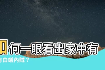 【如何知道有白蟻】如何一眼看出家中有沒有白蟻內賊？